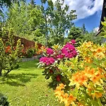 Amicus Zakopane