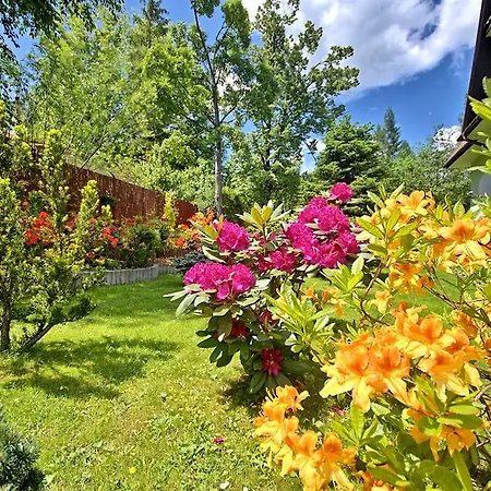 Amicus Zakopane
