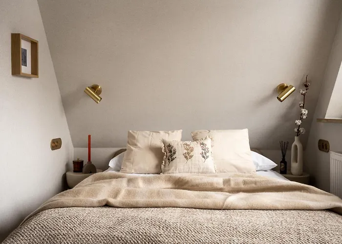 Amicus 3* ザコパネ